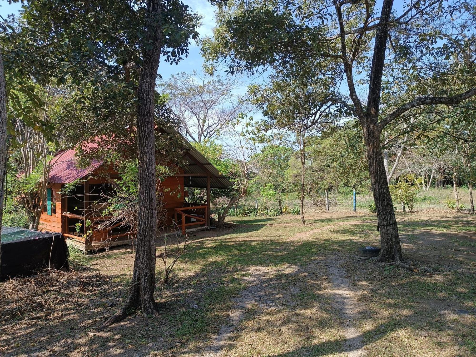 Cabana Rincon De Curubande Liberia Eksteriør billede
