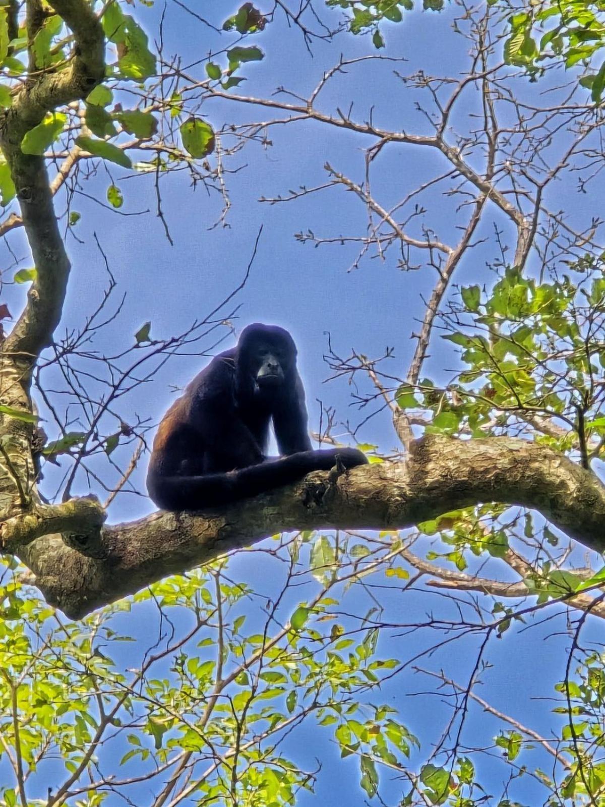 Cabana Rincon De Curubande Liberia Værelse billede